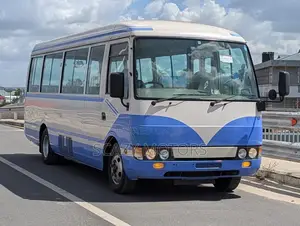 Mitsubishi Fuso Rosa 2009