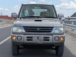 Mitsubishi Pajero 2005 Gray