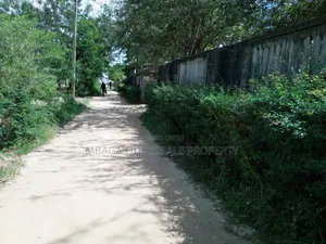2bdrm Farm House in Kibamba Mwisho for rent