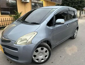 Toyota Ractis 2007 Gray