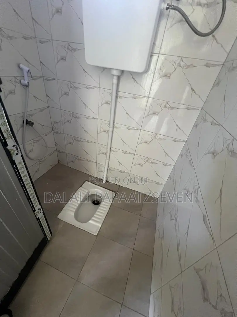 1bdrm Apartment in Dalalipapaatzseven, Kinondoni for rent