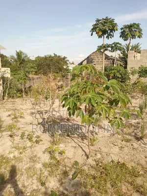 Kiwanja Sqmita 300 Kinauzwa Milioni 3.7 Ukonga Bombambili.