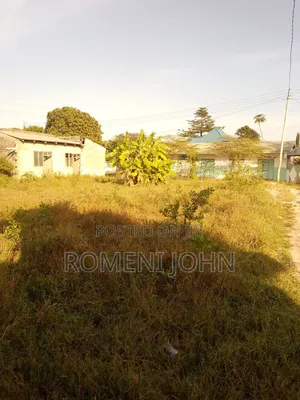 Eneo La Sqmita 1000 Linauzwa Milioni 25 Majohe Chuo Rada.