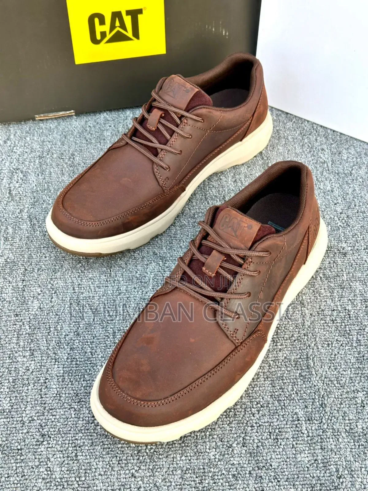 Cat Shoes Original