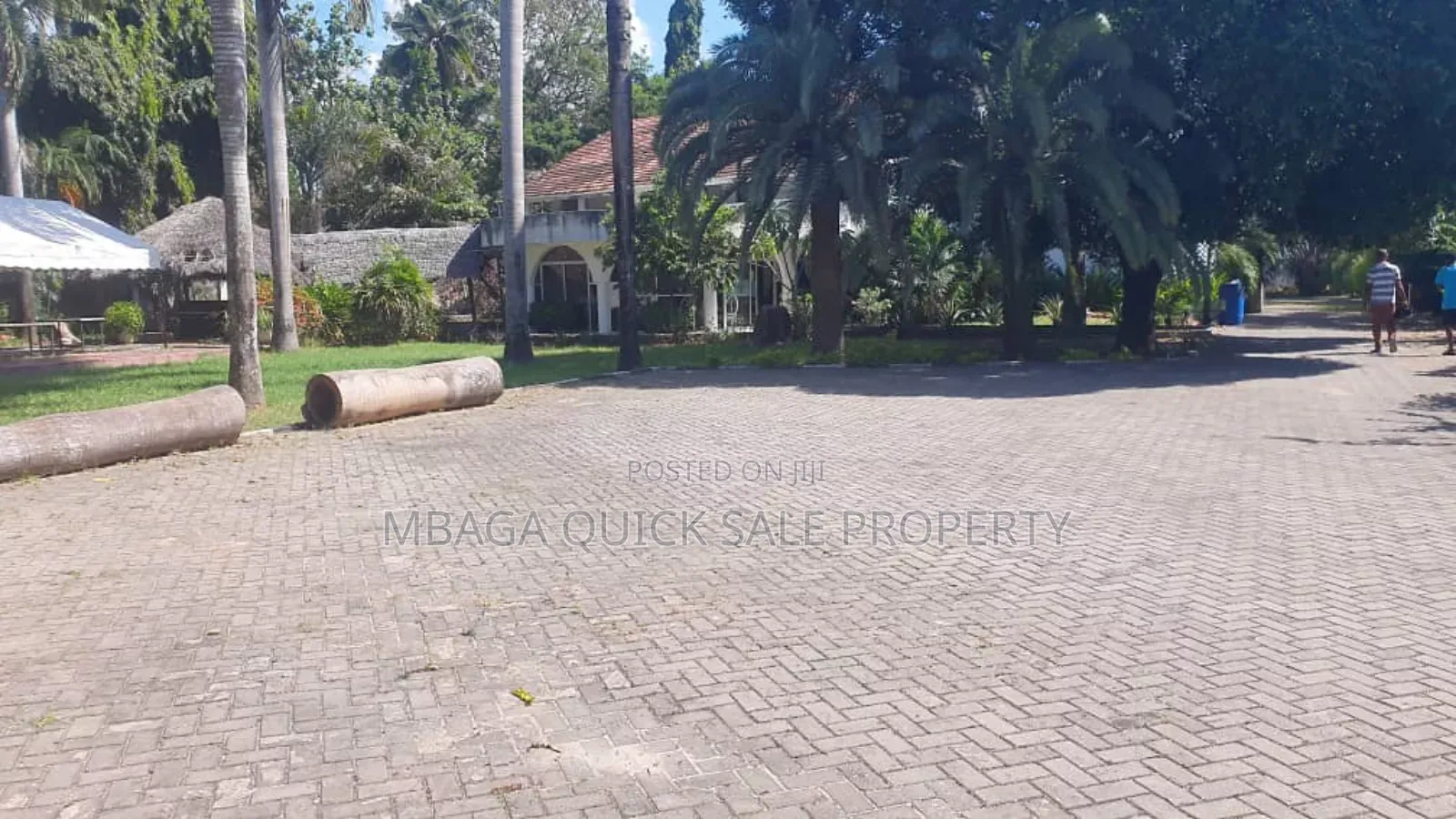 13bdrm House in Avocado, Mikocheni for rent