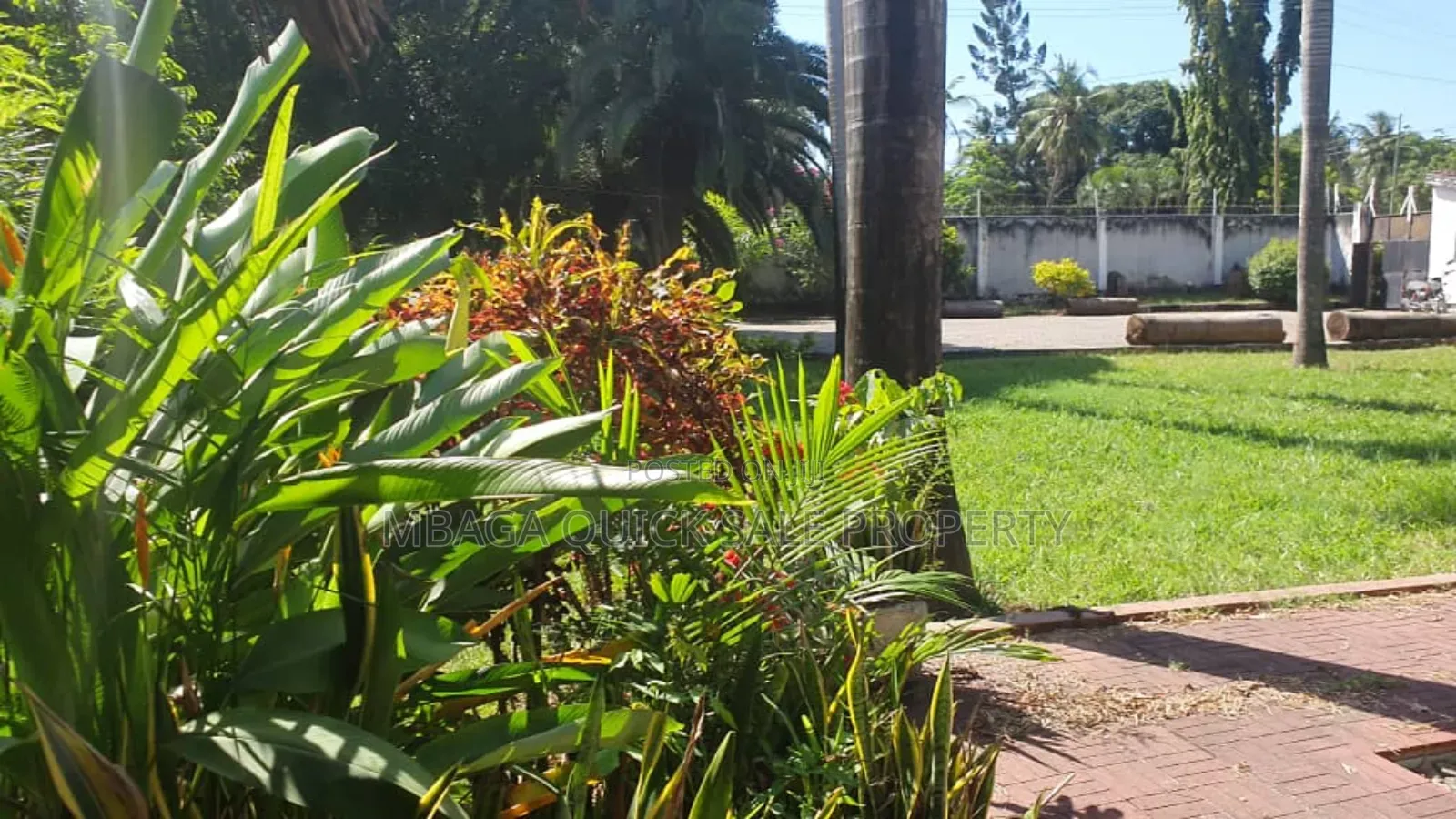 13bdrm House in Avocado, Mikocheni for rent