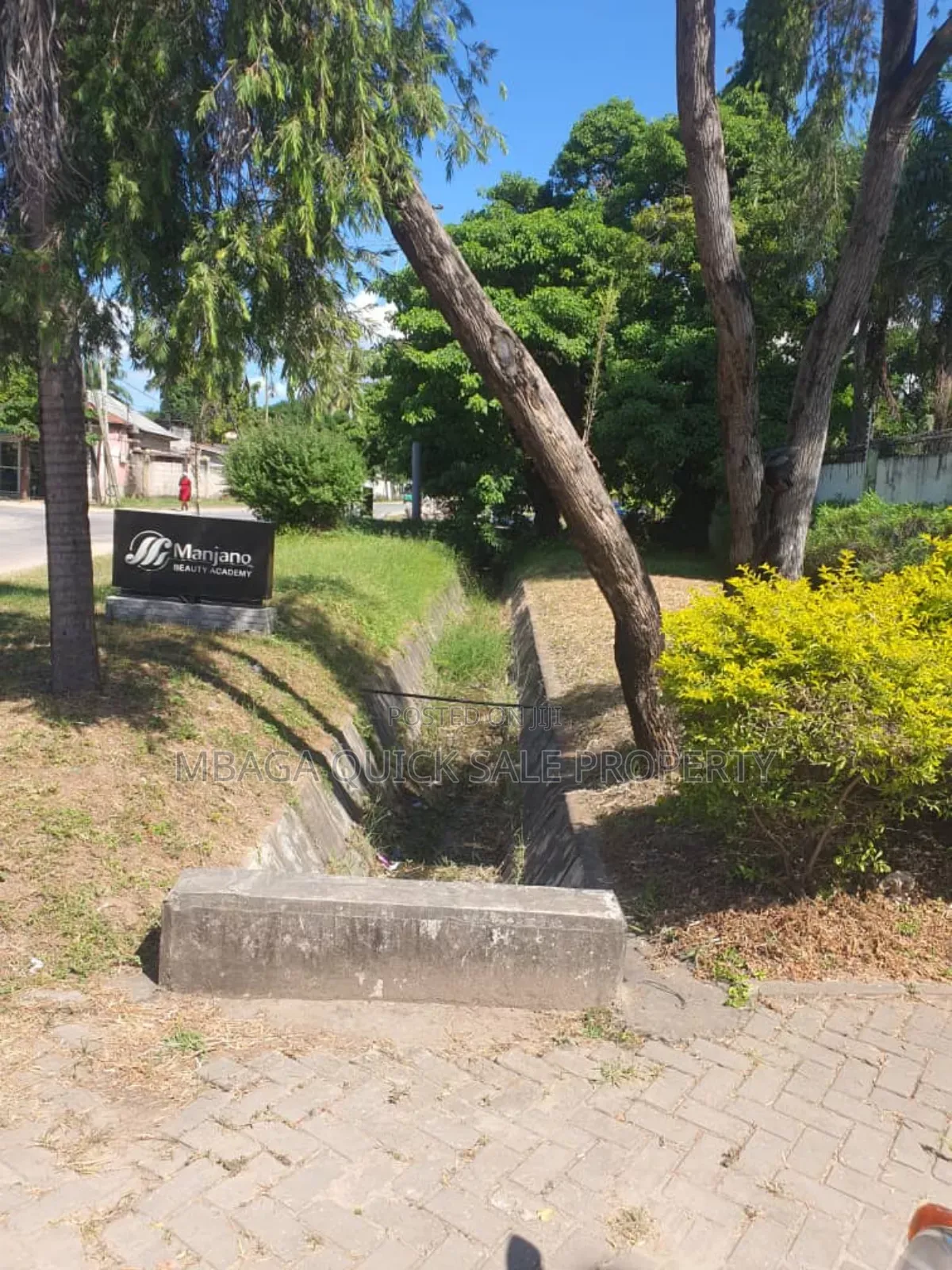 13bdrm House in Avocado, Mikocheni for rent