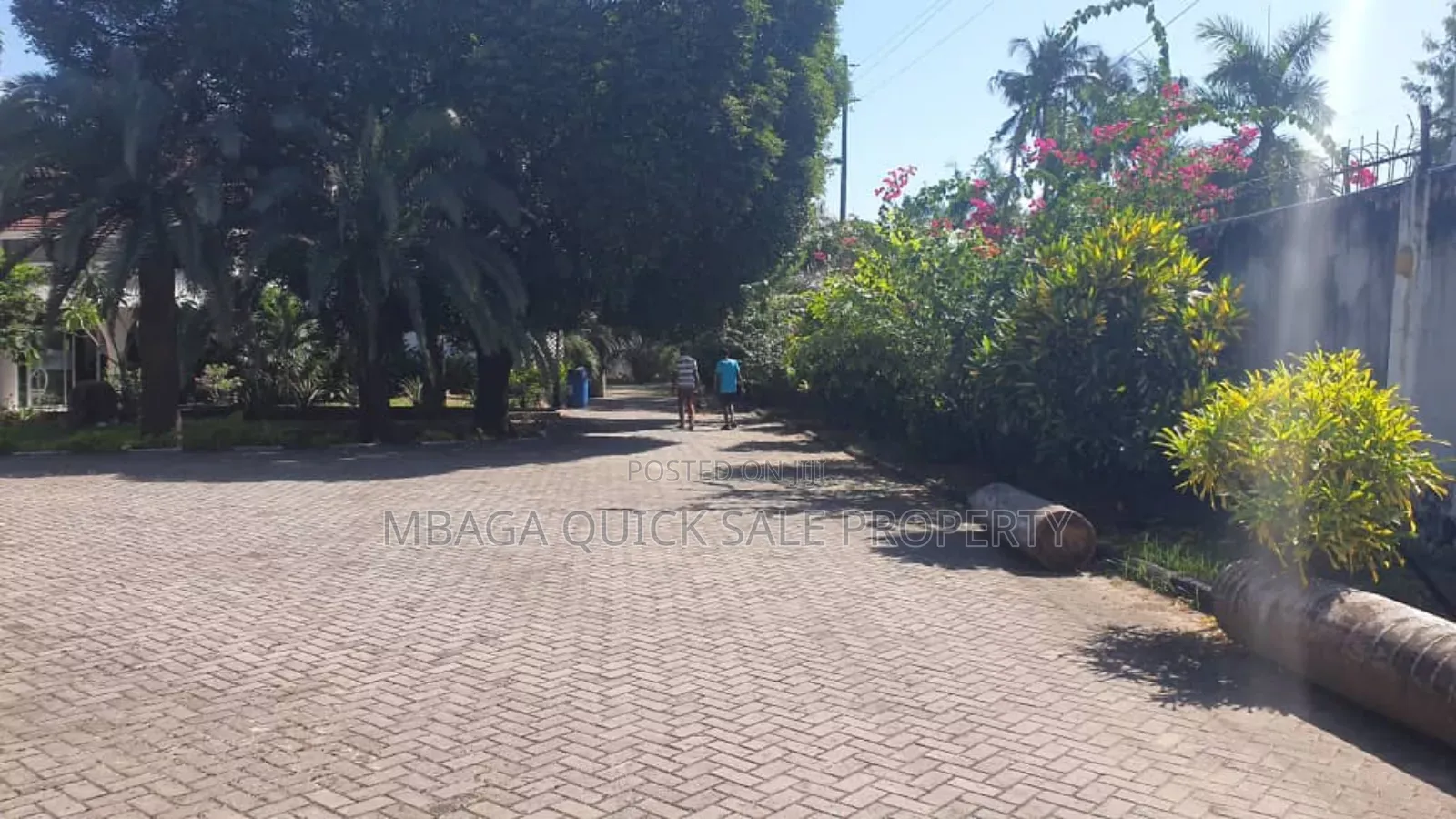 13bdrm House in Avocado, Mikocheni for rent