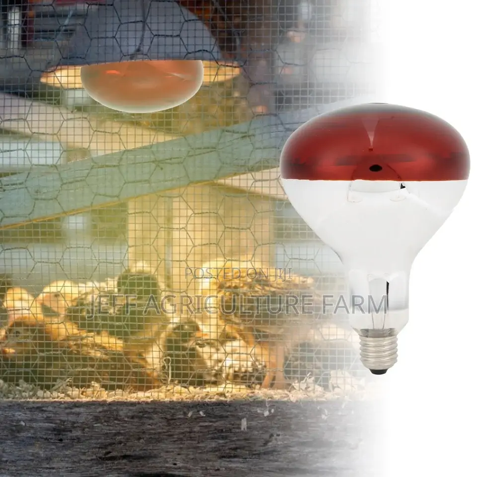 Red Infrared Bulb
