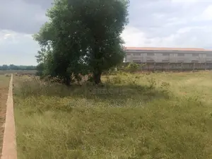 Plot for Sale, Its Located at Wazo Mashamba Ya Jeshi