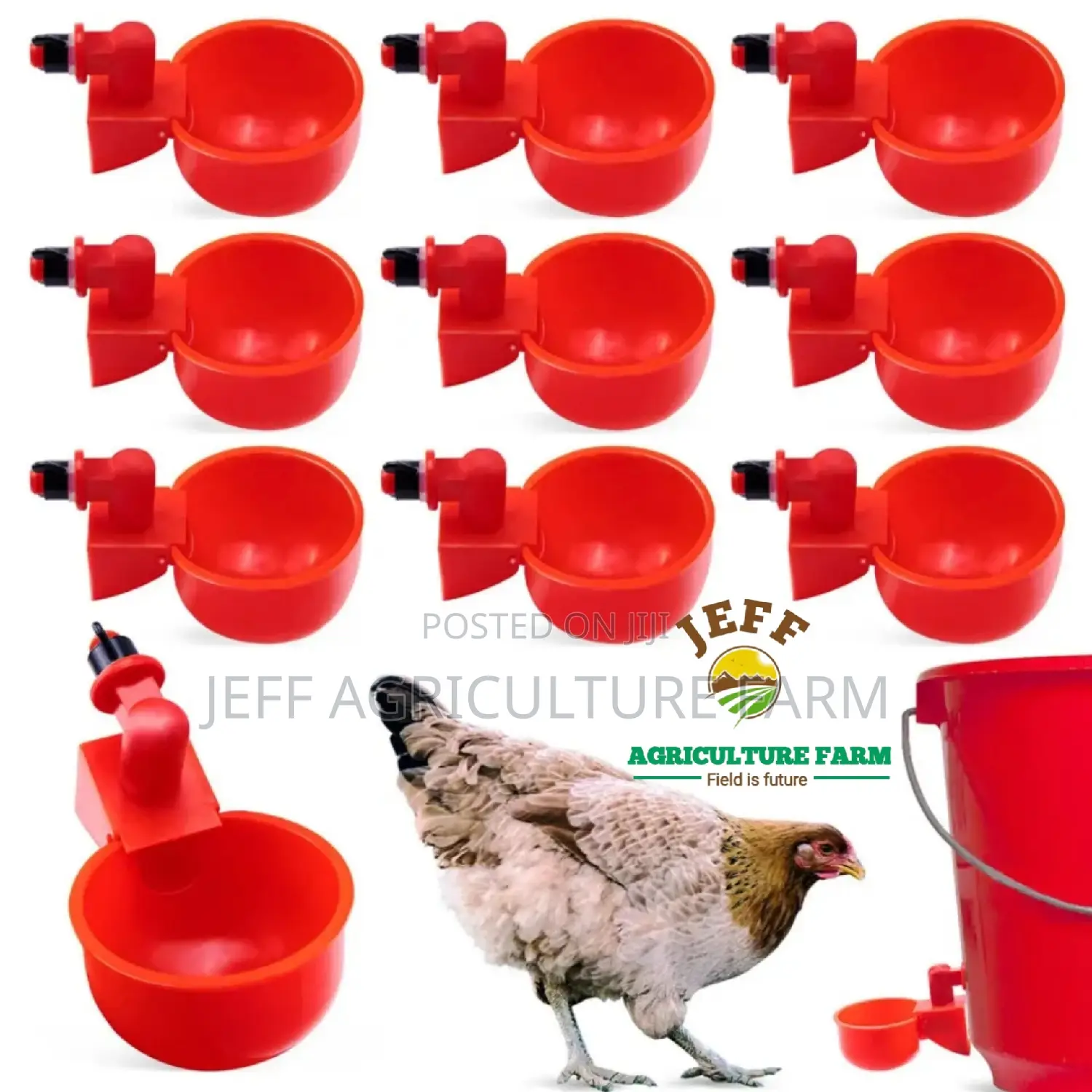 Red Nipples Za Kuku