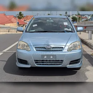 Toyota Allex 2004 Blue