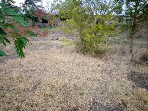 Kiwanja Kinauzwa Chalinze