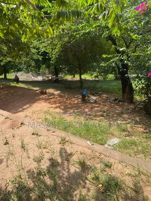 Plots for Joint Venture