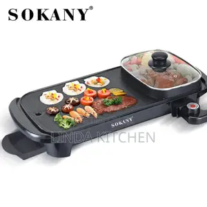 2 in 1 ELECTRIC BARBEQUE GRILL