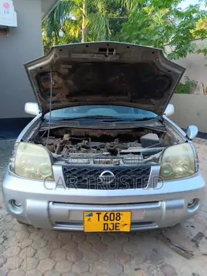 Nissan X-Trail 2.0 2005 Silver