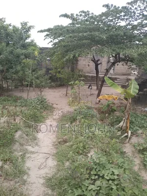 Kiwanja Sqmita 200 Kinauzwa Ml 3.5 Ukonga Bombambili.