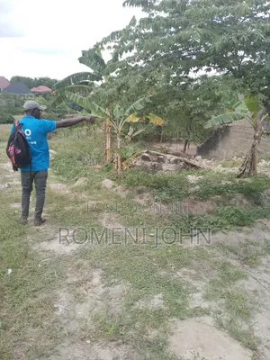 Kiwanja Sqmita 200 Kinauzwa Ml 3.5 Ukonga Bombambili.