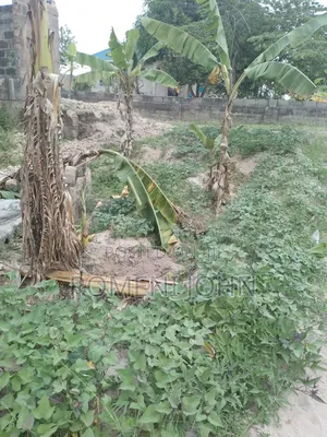 Eneo Sqmita 150 Linauzwa Ml 3.3 Ukonga Bombambili.