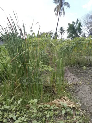 Eneo La Kibiashara Na Makazi Linauzwa Ml 45 Ukonga Mazizini.