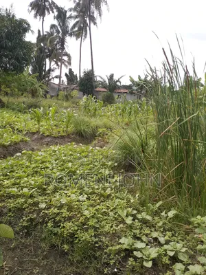 Eneo La Kibiashara Na Makazi Linauzwa Ml 45 Ukonga Mazizini.