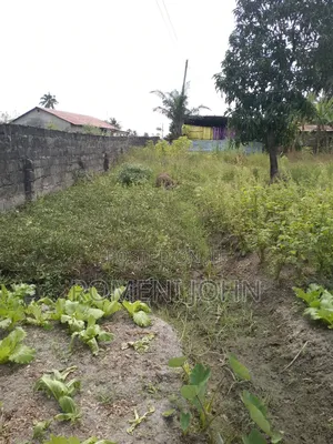 Eneo La Kibiashara Na Makazi Linauzwa Ml 50 Mazizini.
