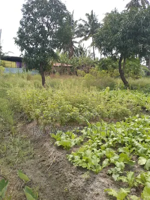 Eneo La Kibiashara Na Makazi Linauzwa Ml 50 Mazizini.
