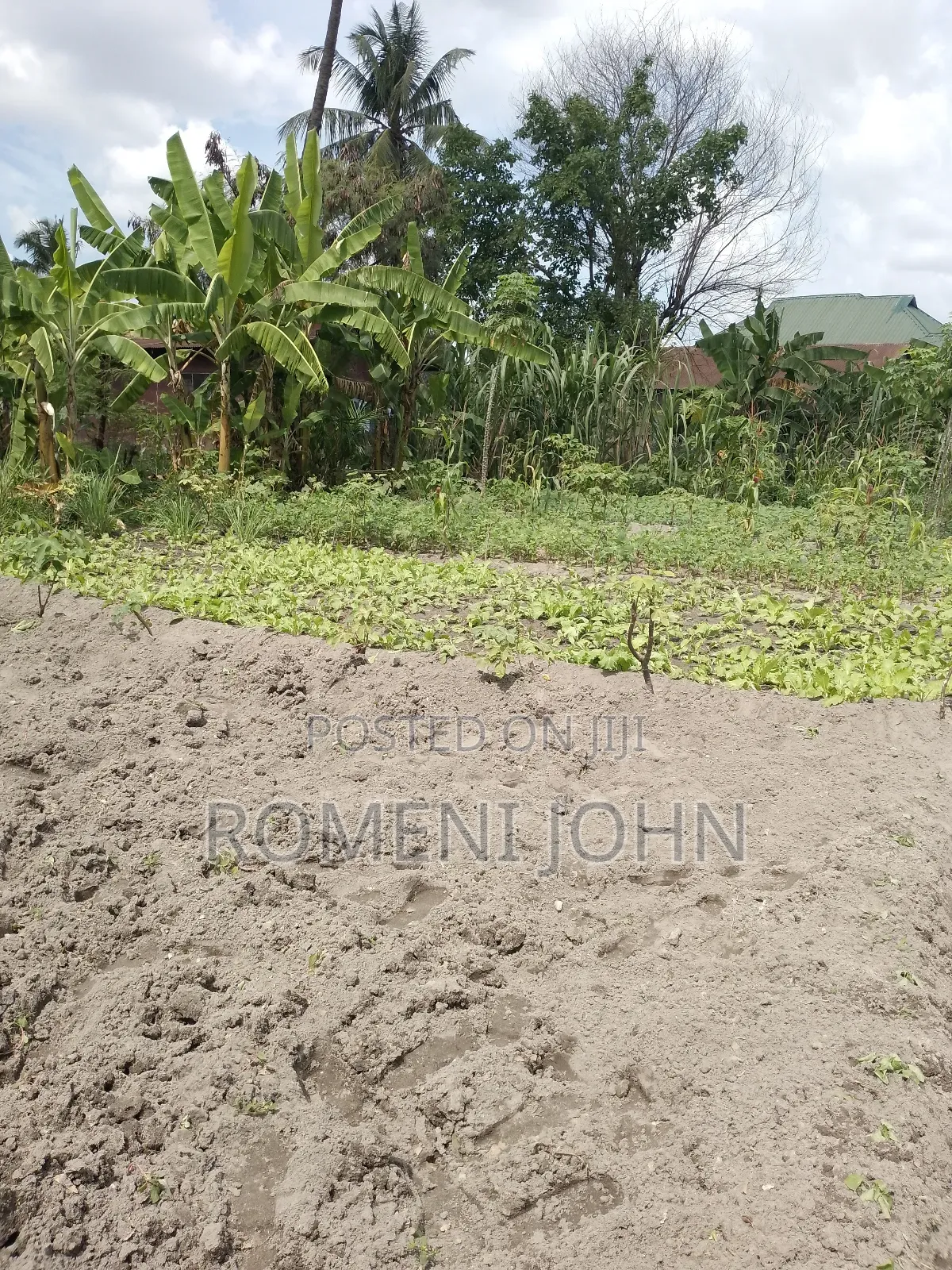 Kiwanja Sqmita 2000 Kinauzwa Milioni 55 Kipo Ukonga Mazizini