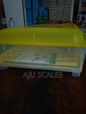 Egg Incubator