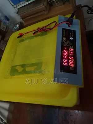 Egg Incubator
