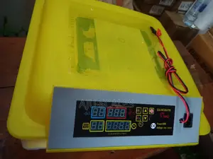 Egg Incubator