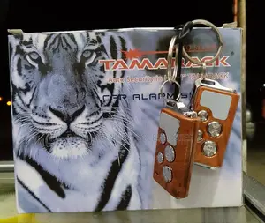 Car Alarm System