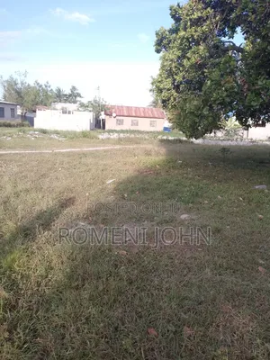 Kiwanja Sqmita 150 Kinauzwa Milioni 4 Majohe Bwela.