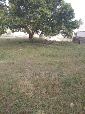 Kiwanja Sqmita 150 Kinauzwa Milioni 4 Majohe Bwela.
