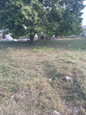 Eneo Sqmita 150 Linauzwa Milioni 4 Ukonga Majohe Bwela.