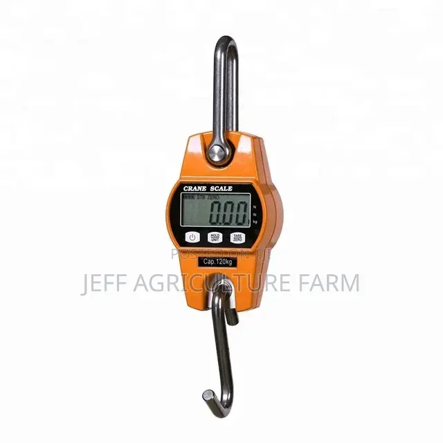 Digital Scale 300kg Super