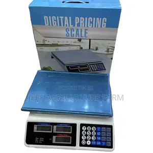 Two Display 40kg Scale Digital
