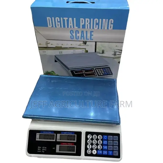 Two Display 40kg Scale Digital
