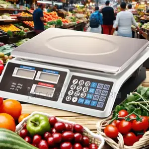 Two Display 40kg Scale Digital