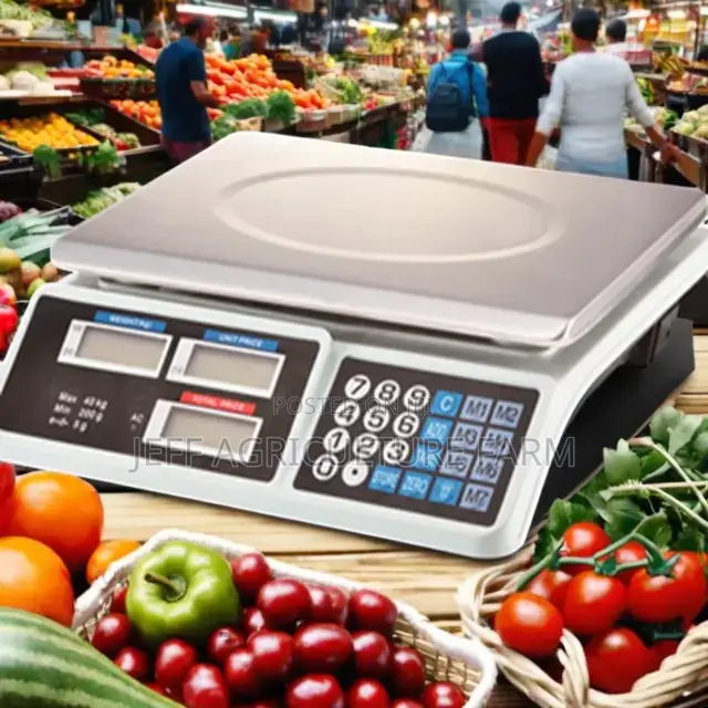 Two Display 40kg Scale Digital