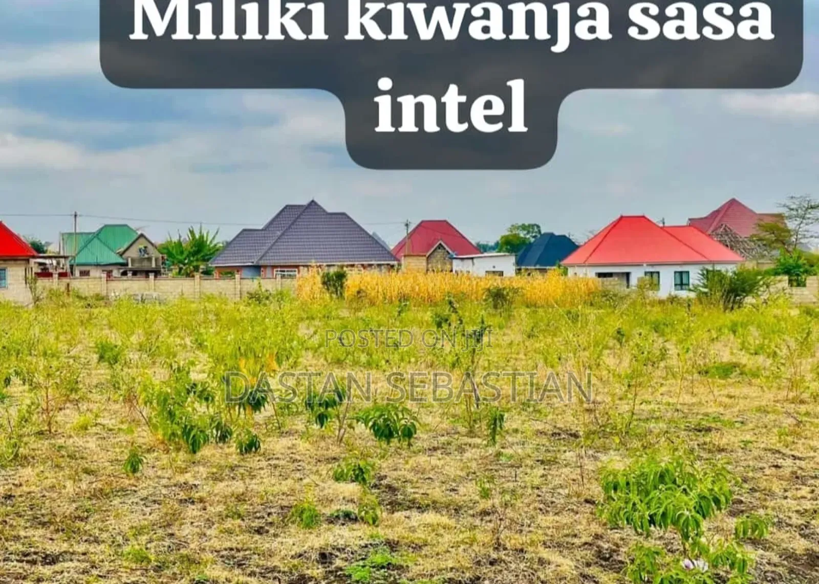 Viwanja Arusha Na Moshi