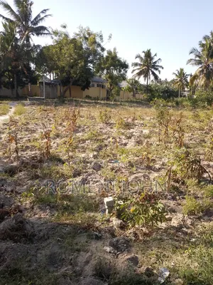 Kiwanja Sqmita 400 Kinauzwa Milioni 14 Ukonga Majohe Bwela.