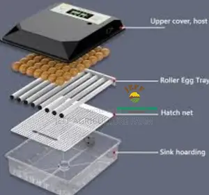Black Incubator Mayai 60