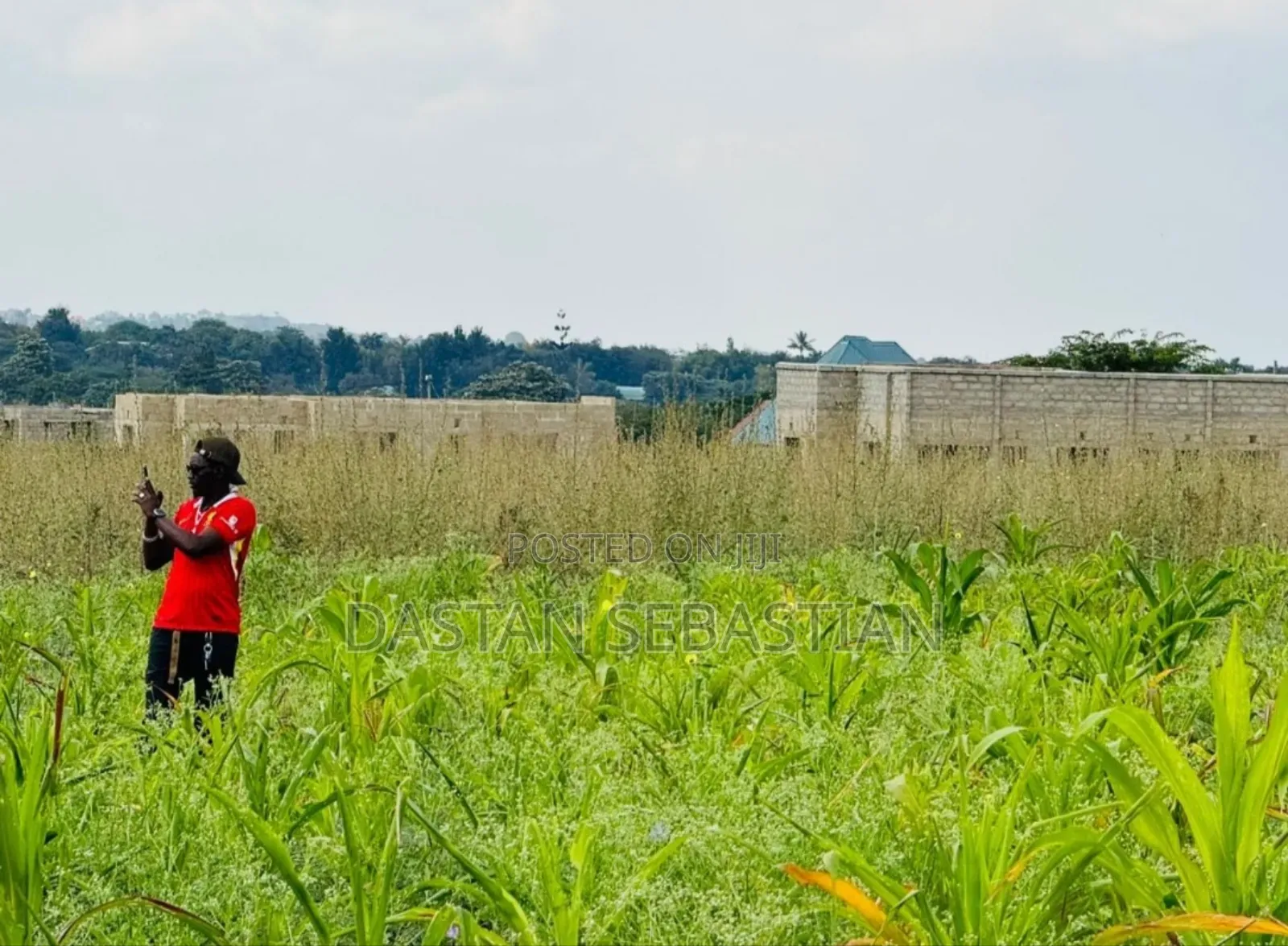 New Project Arusha and Kilimanjaro