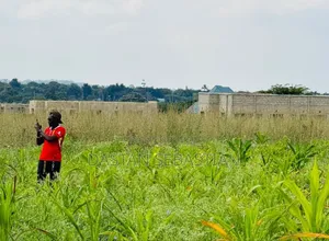 New Project Arusha and Kilimanjaro