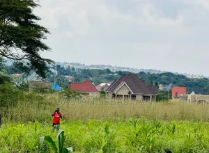 New Project Arusha and Kilimanjaro