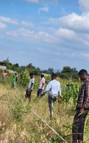 Viwanja Boma Ng'ombe Uzunguni- Hai