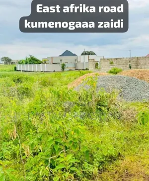 Arusha Viwanja