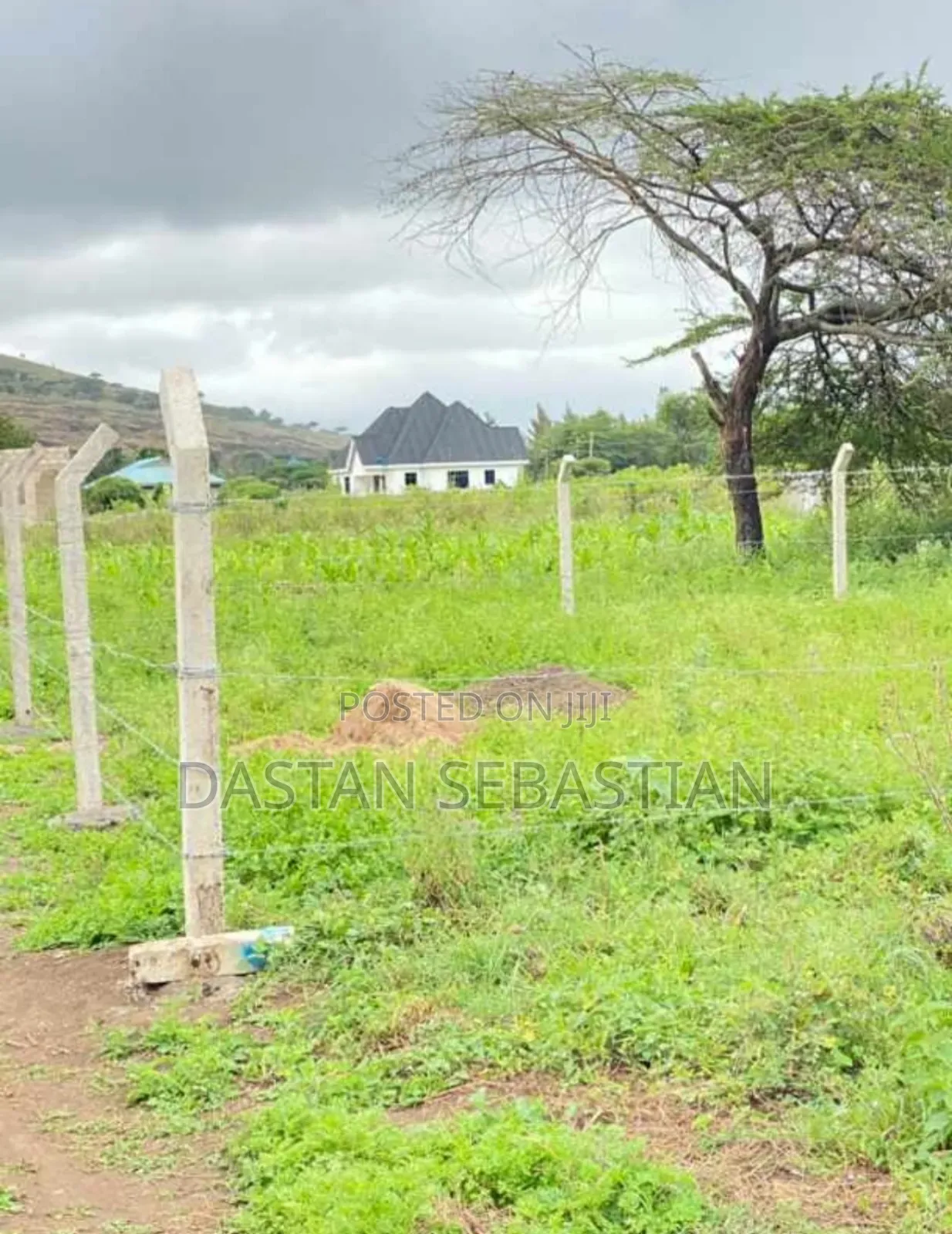 Arusha Viwanja