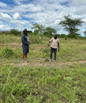 Viwanja Kisongo Waya, Kisongo Yakini